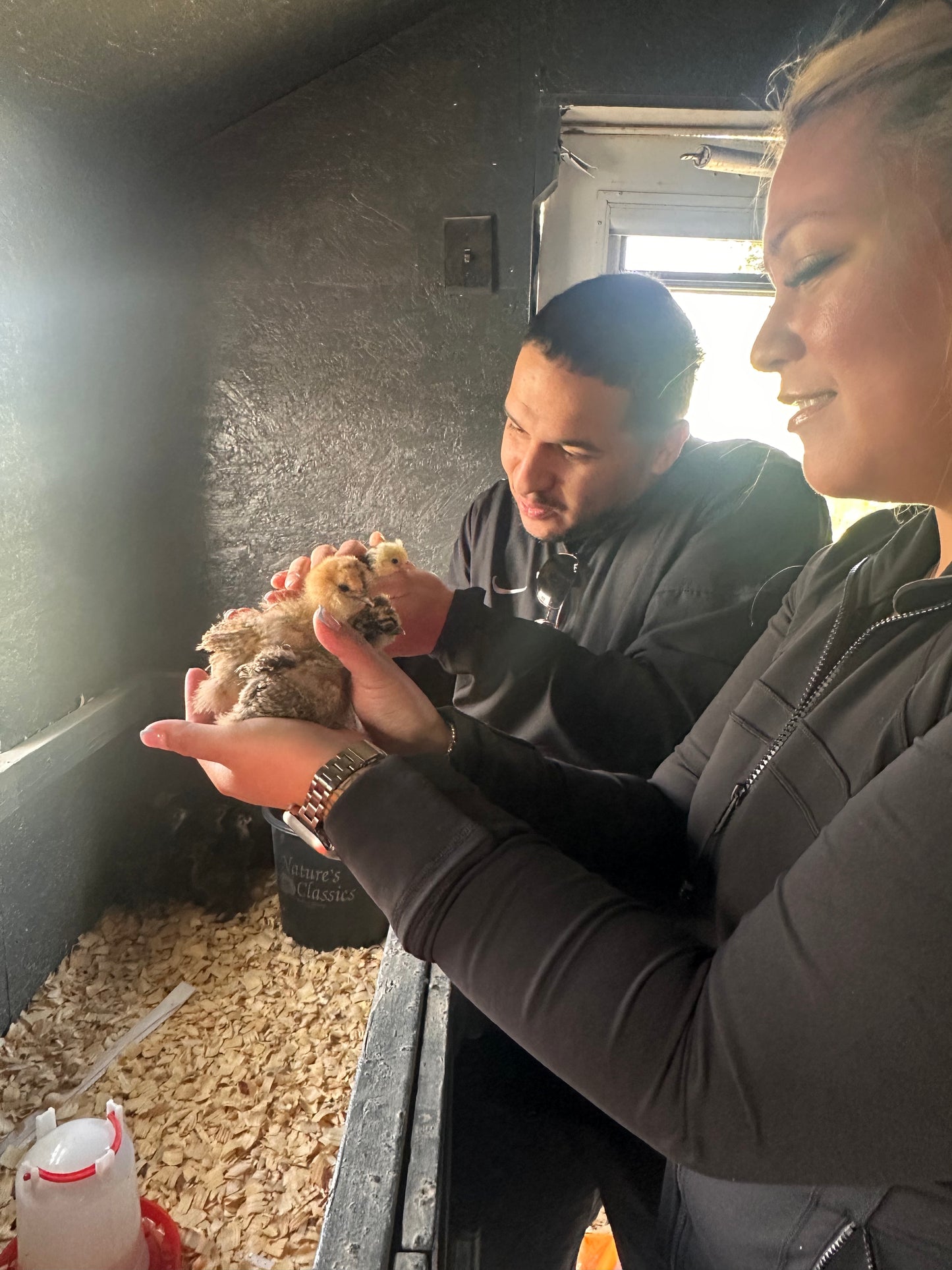 Beginner Chicken Keeping 101: Farm Visit Tickets