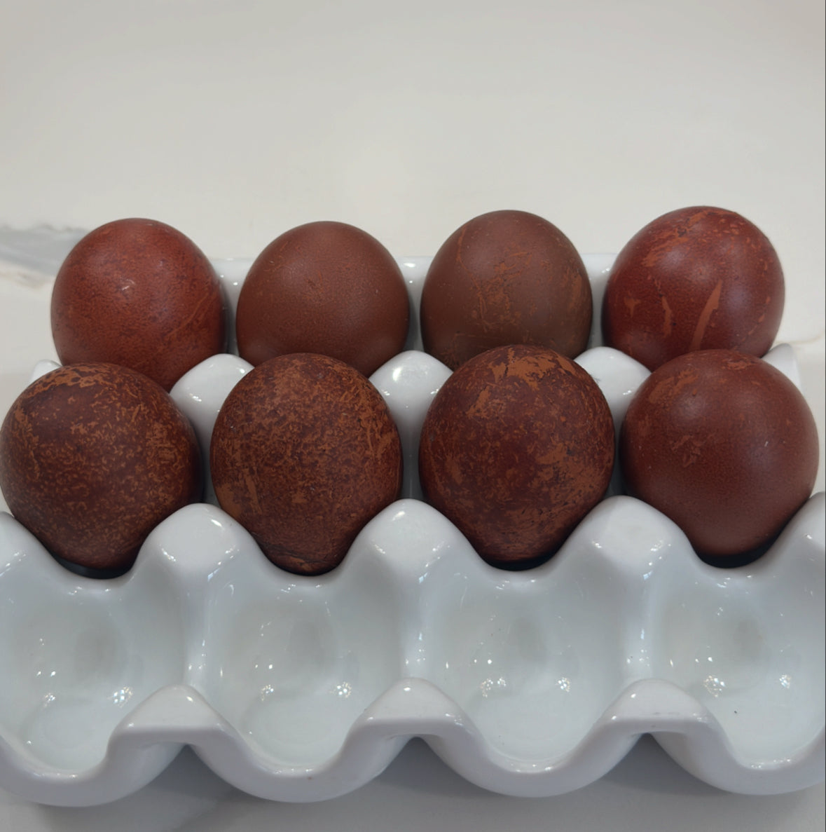 Fertilized Black Copper Marans Hatching Eggs – Deep Chocolate Egg Layers