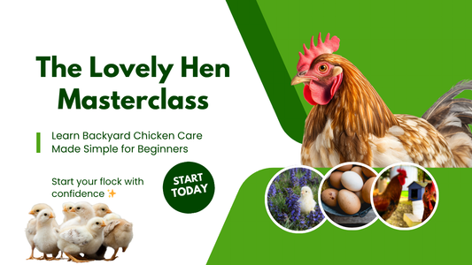 The Lovely Hen Masterclass — Learn to Raise Chickens Like a Pro!