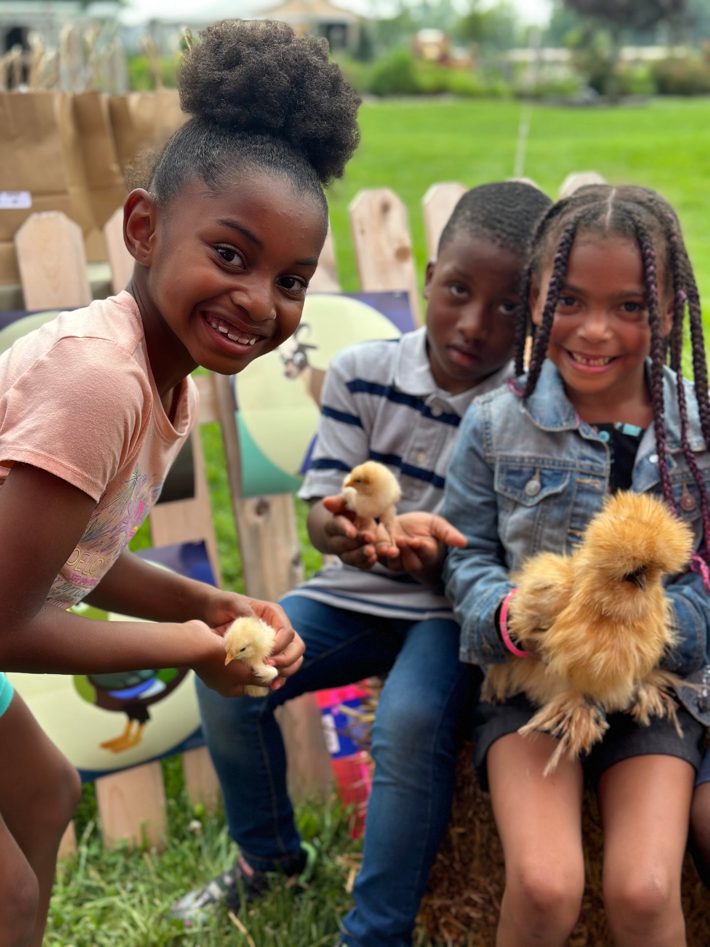 Beginner Chicken Keeping 101: Farm Visit Tickets