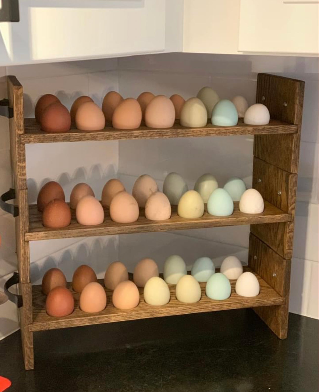 Hatch a Lovely Chick™ – 28-Day Chick Hatching Experience (Full Setup & Pickup Included)