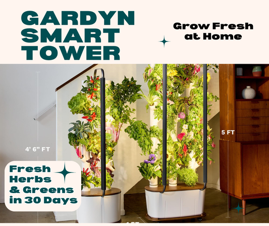 Grow Fresh All Winter with the Gardyn Smart Hydroponic System