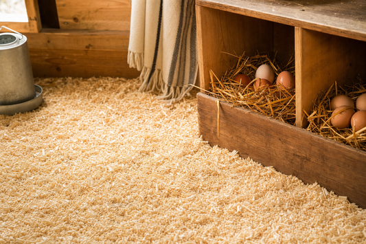 Fresh pine wood shavings bedding in a chicken coop nesting box