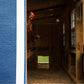 Large Chicken Coop - Up to 15 Chickens