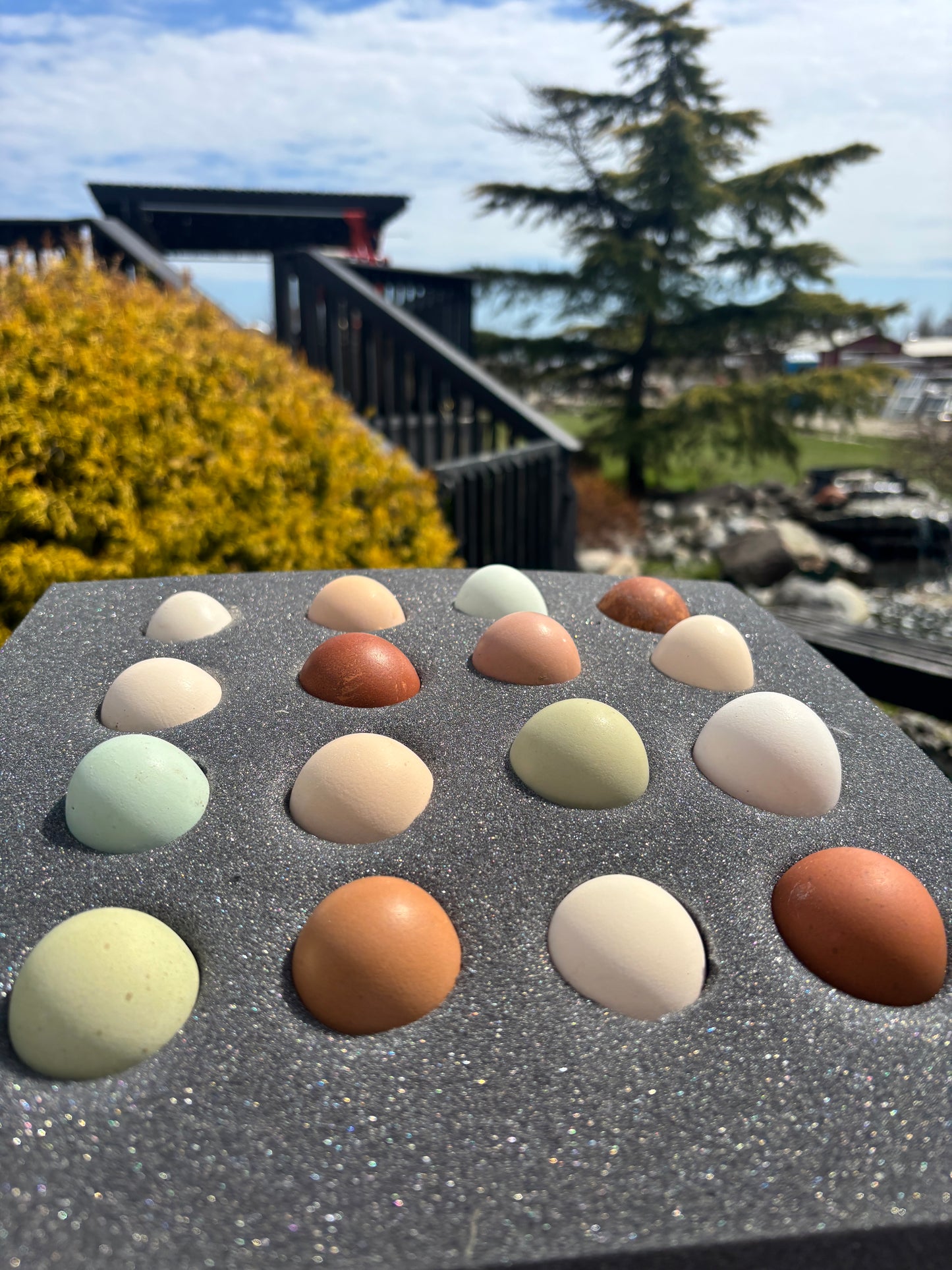 Barnyard Surprise Mix — Fertilized Hatching Eggs (Rainbow Flock Variety)