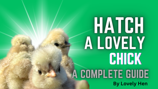 Hatch a Lovely Chick: The Complete Hatching Guide