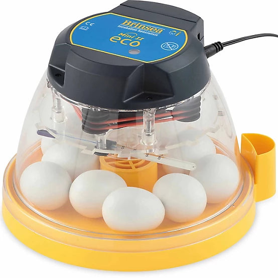 Hatch a Lovely Chick: The Complete Hatching Guide