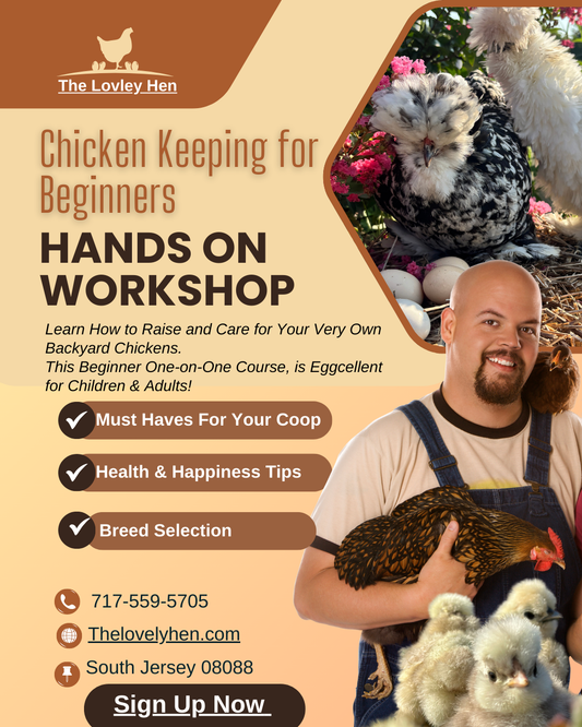 Beginner Chicken Keeping 101: Farm Visit Tickets