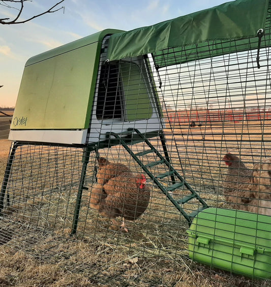 Eglu Go UP - Elevated Chicken Coop for 3-4 Hens