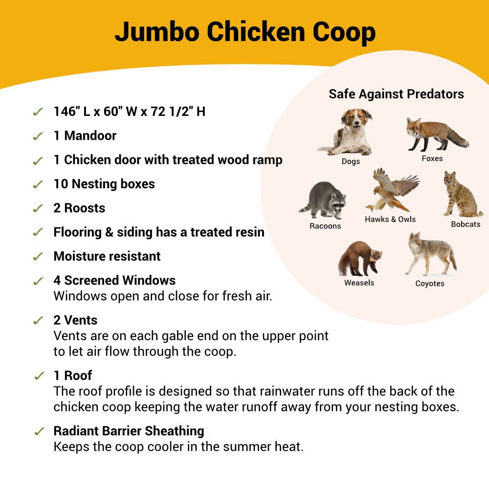 OverEZ Chicken Coop - Jumbo | Hatching Time