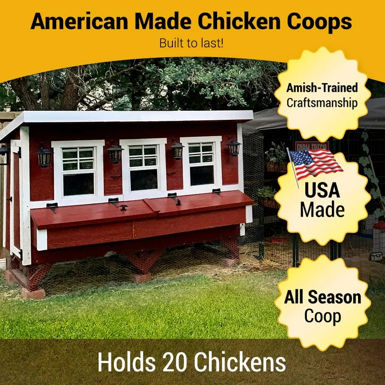 OverEZ Chicken Coop - XL | Hatching Time