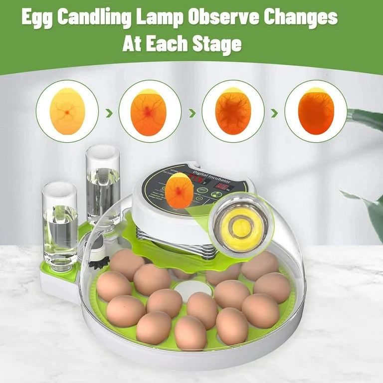 Incubators for Hatching Eggs, 18 Egg Incubator with Automatic Egg Turning and Humidity Control, Automatic Water Adding, LED Egg Candler, for Hatching Chickens, Duck, Quail, Goose Eggs