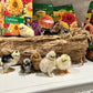 1 Bearded Silkie Bantam Chick