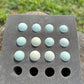 Blue Ameraucana & Wheaten Ameraucana— Fertilized Hatching Eggs (12 count)