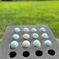 Blue Ameraucana & Wheaten Ameraucana— Fertilized Hatching Eggs (12 count)