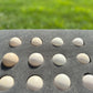 Mottled Bearded Silkie & Satin — Fertilized Hatching Eggs (Mottled Variety)