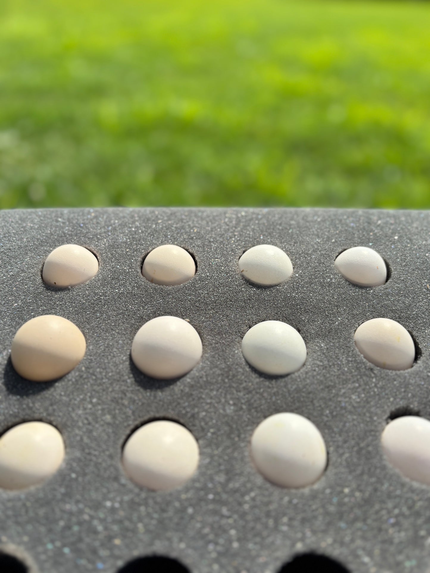 Mottled Bearded Silkie & Satin — Fertilized Hatching Eggs (Mottled Variety)