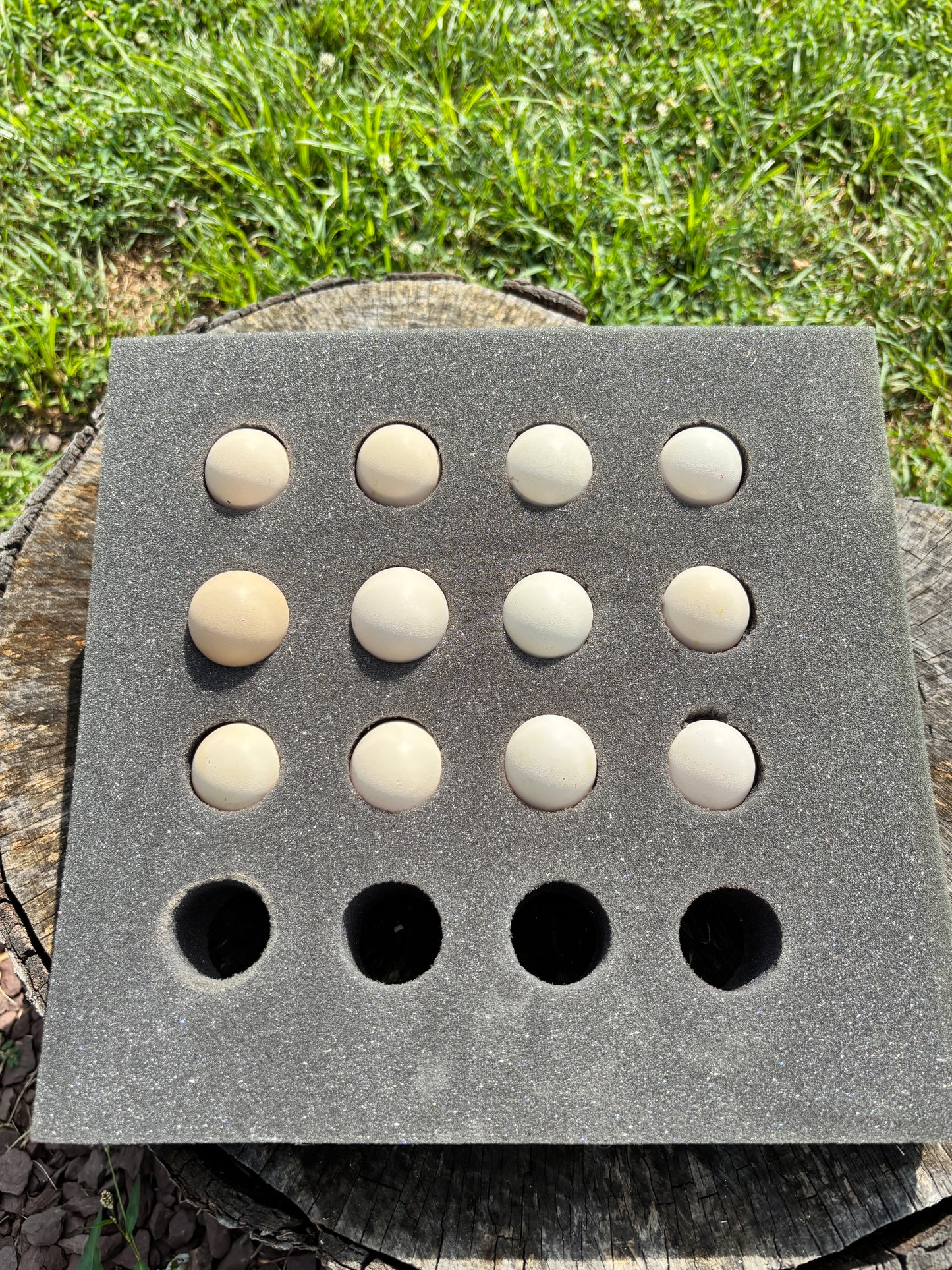 Mottled Bearded Silkie & Satin — Fertilized Hatching Eggs (Mottled Variety)