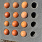 Fertilized Black Copper Marans Hatching Eggs – Deep Chocolate Egg Layers