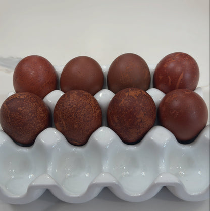 Fertilized Black Copper Marans Hatching Eggs – Deep Chocolate Egg Layers