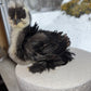 Mottled Bearded Silkie & Satin — Fertilized Hatching Eggs (Mottled Variety)