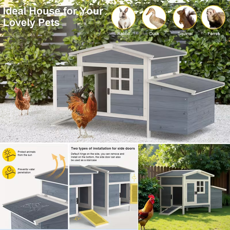 Beginner Chicken Coop Starter Pack