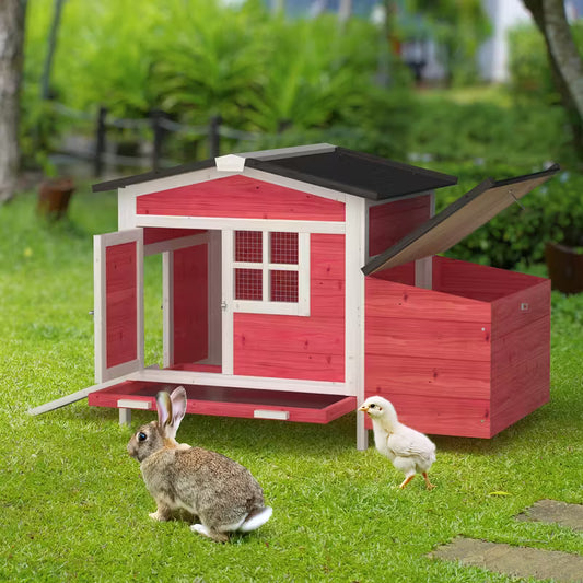 Beginner Chicken Coop Starter Pack