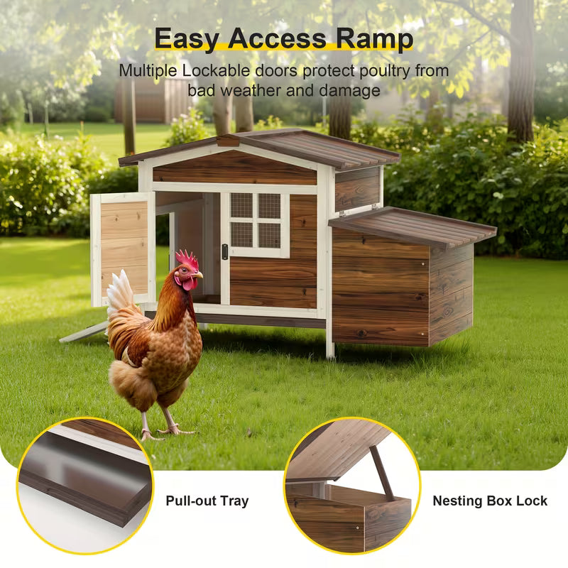 Beginner Chicken Coop Starter Pack