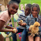 Beginner Chicken Keeping 101: Farm Visit Tickets