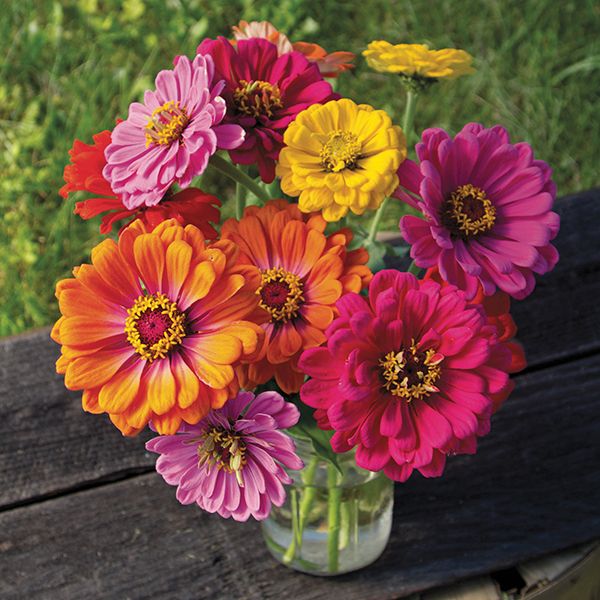 Summer Flower Subscription – 6 Weeks of Farm-Fresh Bouquets