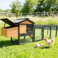 Chicken Coop With Run And Nesting Box