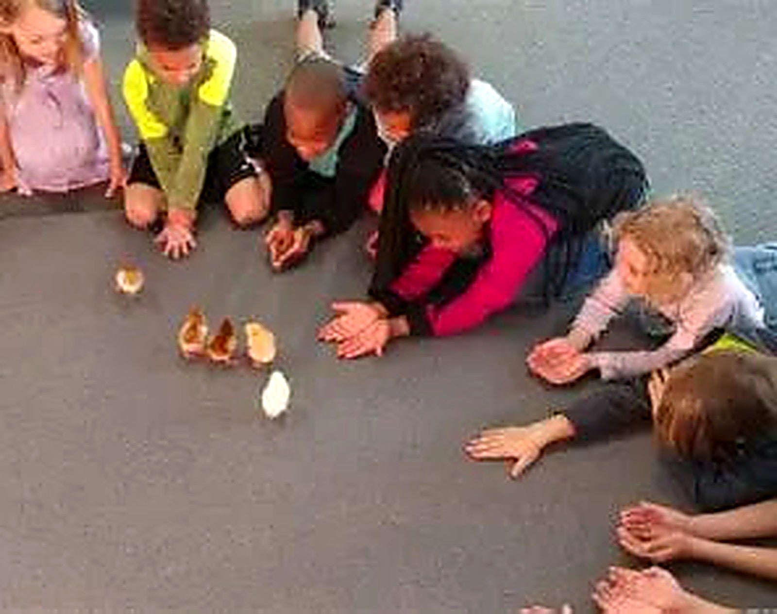 Kids sitting in a circle gently holding newly hatched chicks