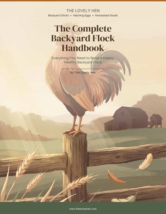 The Complete Backyard Flock Handbook cover
