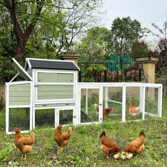 Wooden Chicken Coop, Large Outdoor Hen House with Run and Nesting Box
