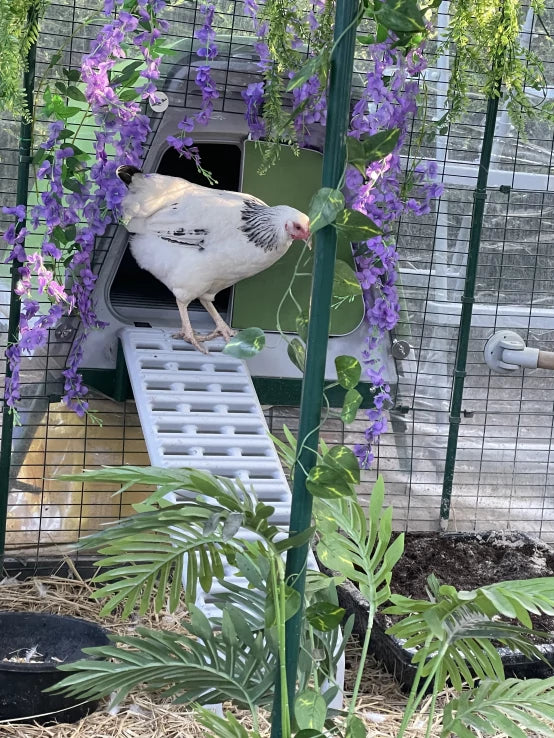 Eglu Go UP - Elevated Chicken Coop for 3-4 Hens