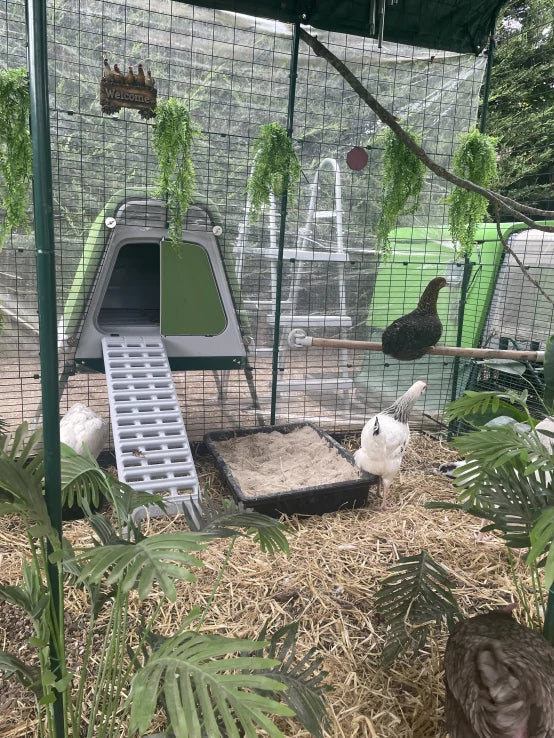 Eglu Go UP - Elevated Chicken Coop for 3-4 Hens