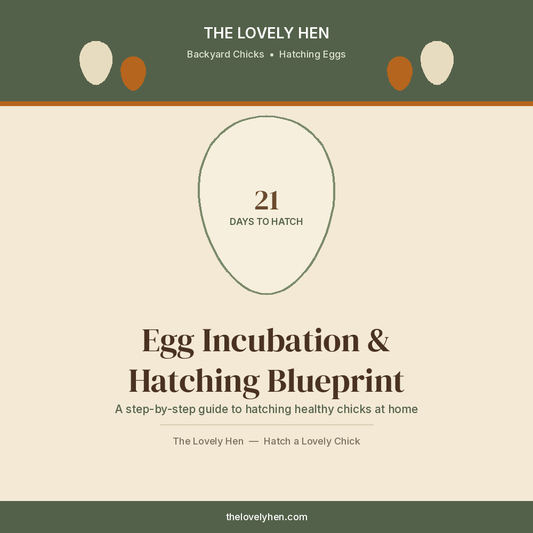 Egg Incubation and Hatching Blueprint cover