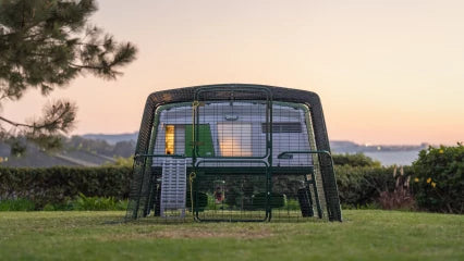 Omlet Eglu Cube Chicken Coop (Up to 6 Large Hens) — Easy-Clean, Predator-Proof, All-Weather