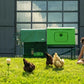 Omlet Eglu Cube Chicken Coop (Up to 6 Large Hens) — Easy-Clean, Predator-Proof, All-Weather