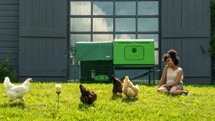 Omlet Eglu Cube Chicken Coop (Up to 6 Large Hens) — Easy-Clean, Predator-Proof, All-Weather