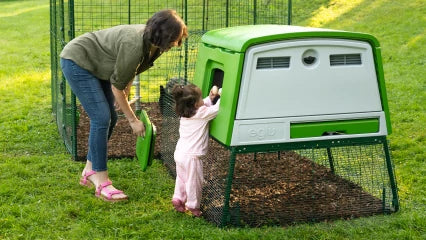 Omlet Eglu Cube Chicken Coop (Up to 6 Large Hens) — Easy-Clean, Predator-Proof, All-Weather