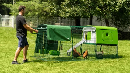 Omlet Eglu Cube Chicken Coop (Up to 6 Large Hens) — Easy-Clean, Predator-Proof, All-Weather