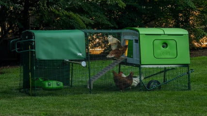 Omlet Eglu Cube Chicken Coop (Up to 6 Large Hens) — Easy-Clean, Predator-Proof, All-Weather