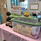Hatch a Lovely Chick incubator and brooder setup with baby chick decorations