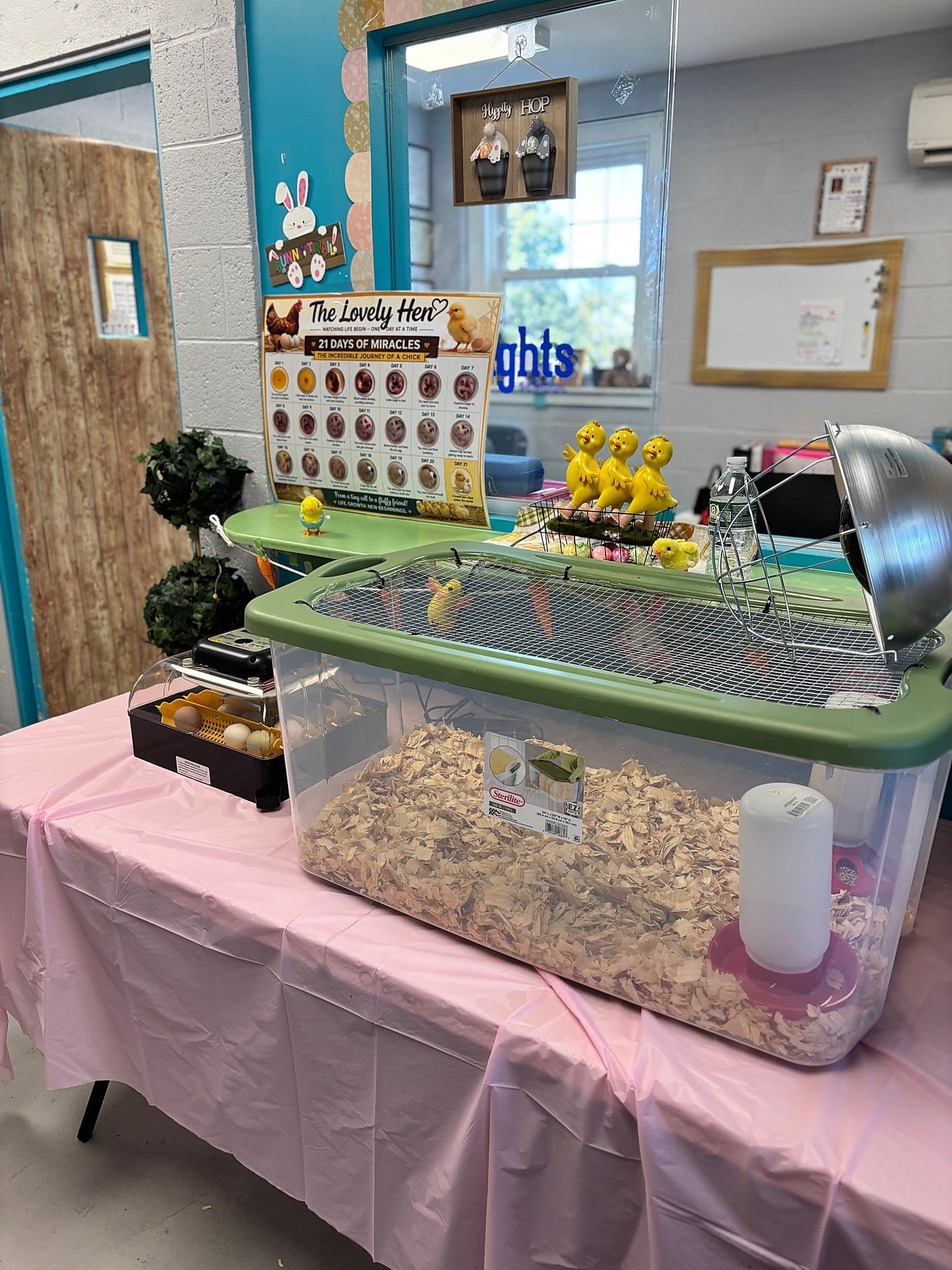Hatch a Lovely Chick incubator and brooder setup with baby chick decorations