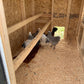 Large Chicken Coop - Up to 15 Chickens