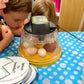 Kids watching fertilized eggs hatch in an incubator during the Hatch a Lovely Chick program