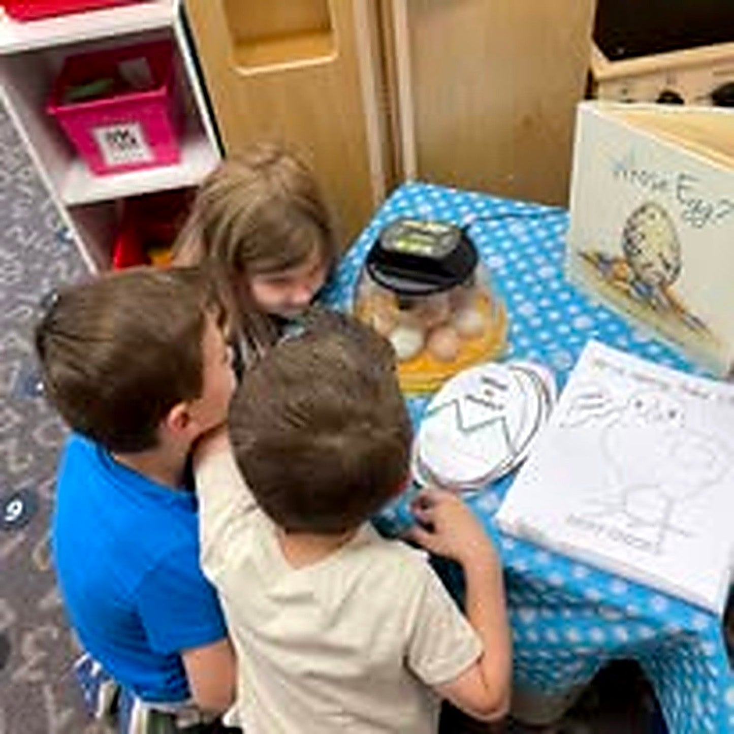 Children gathered around the incubator watching chicks hatch