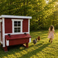 Medium Chicken Coop - Up to 10 Chickens