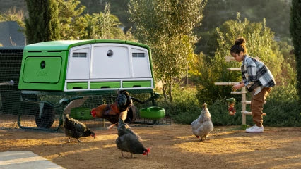 Omelet Eglu Pro Chicken Coop